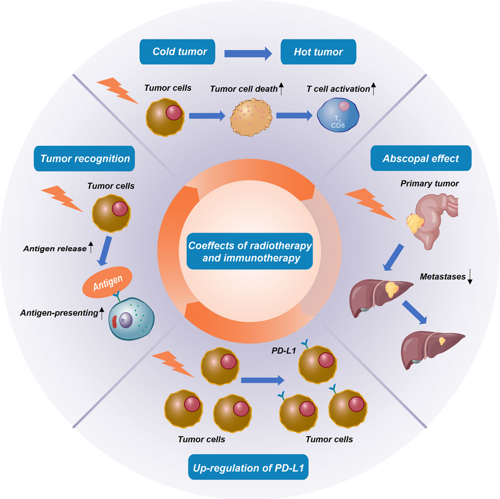 Frontiers | Radioimmunotherapy in colorectal cancer treatment: present and future